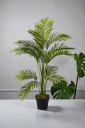 ARECA C/MAC 1.05CM