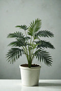 ARECA X 18 HOJAS 58CM