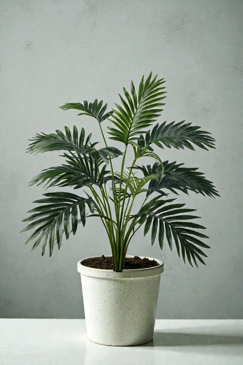ARECA X 18 HOJAS 58CM