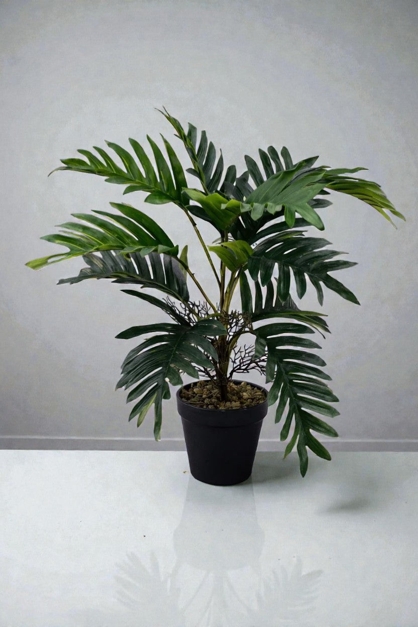 CYCUS C/MACETA 38CM