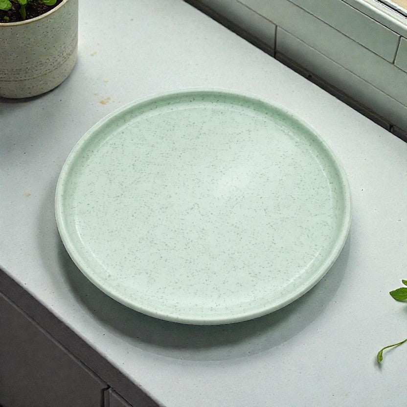 PLATO PLAYO FENIKK MENTA JASPEADO