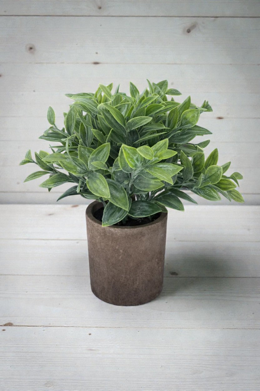 MACETA C/HOJAS 22CM