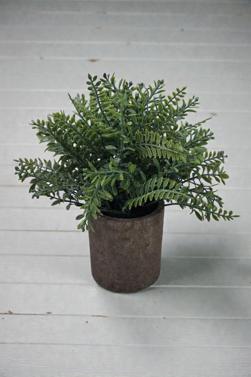 MACETA C/PASTO MIX 22CM