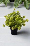 MACETA C/POMPON VERDE 20CM