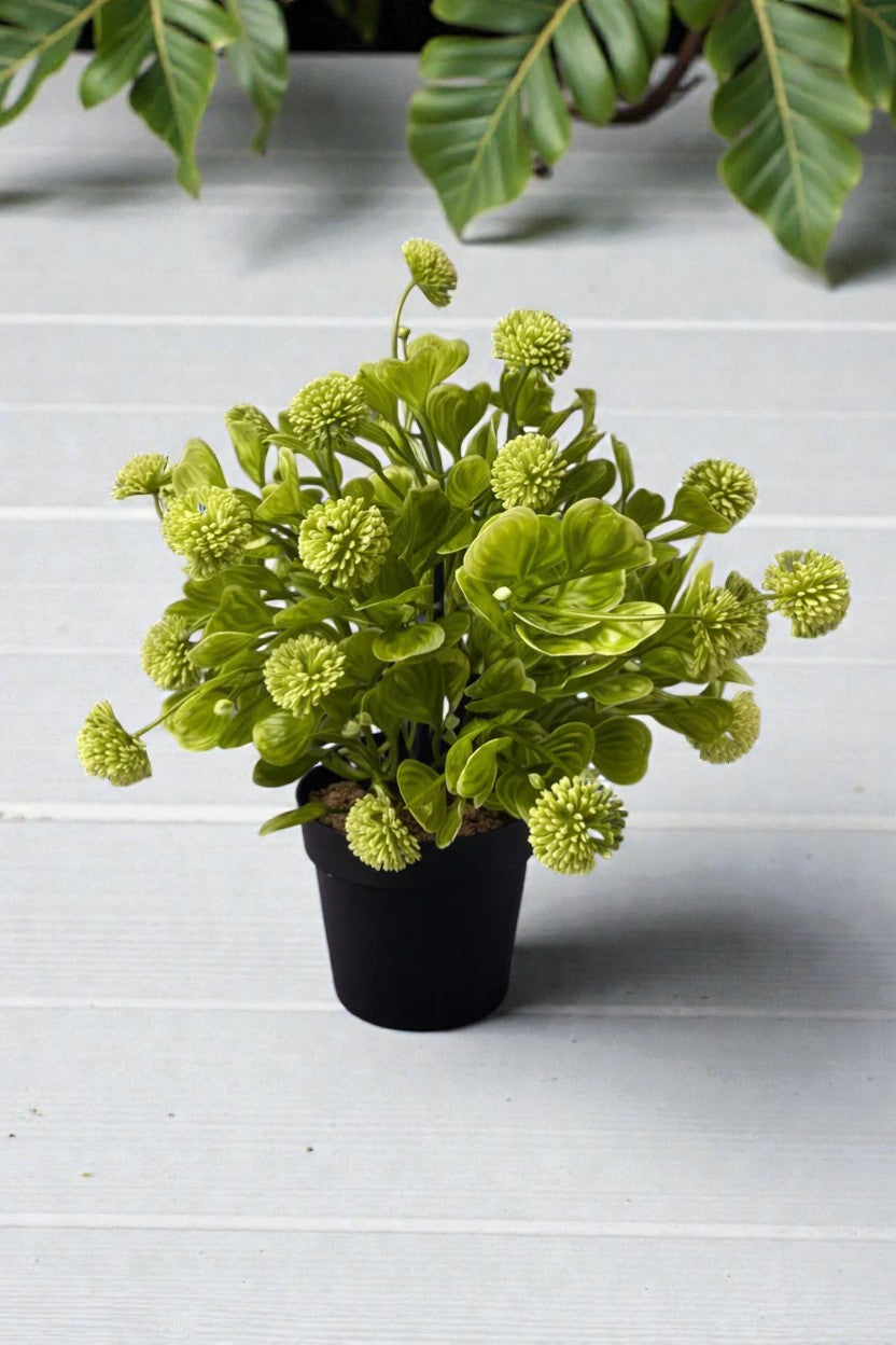 MACETA C/POMPON VERDE 20CM