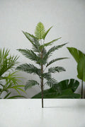 PALMERA KENTIA 1.50MTS