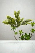PLANTA DE HELECHO 45CM