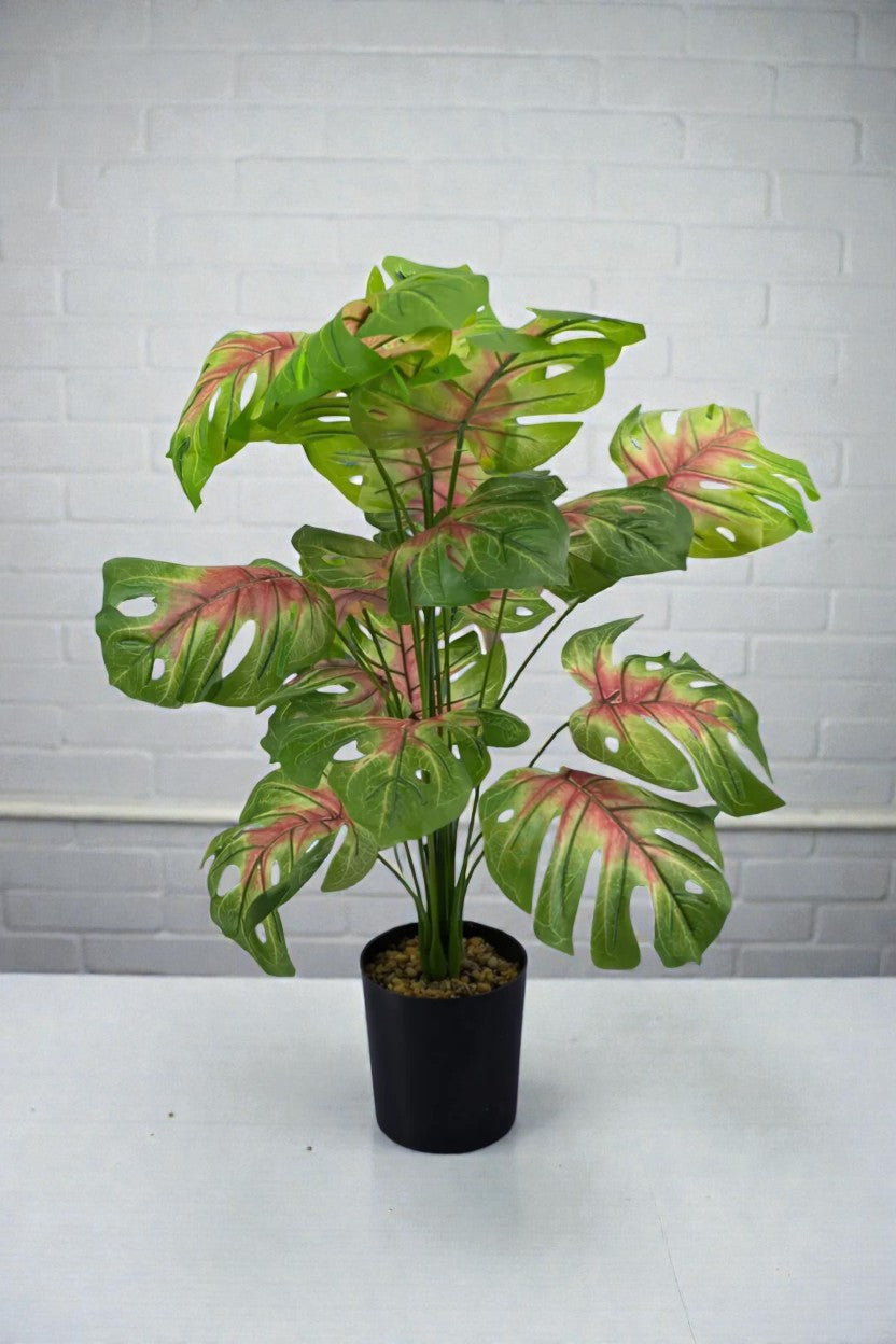 PLANTA MOSTERA 18 HOJAS C/ MAC- 80CM