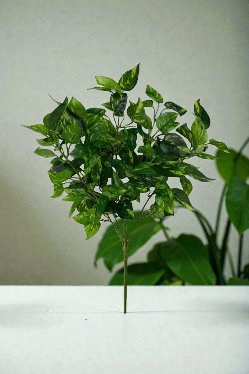 PLANTA POTUS 45CM