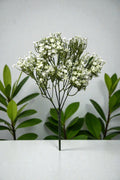 RAMO GUIPSO 32CM
