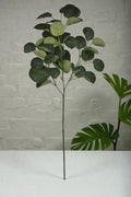 VARA EUCALIPTUS X3- 82CM