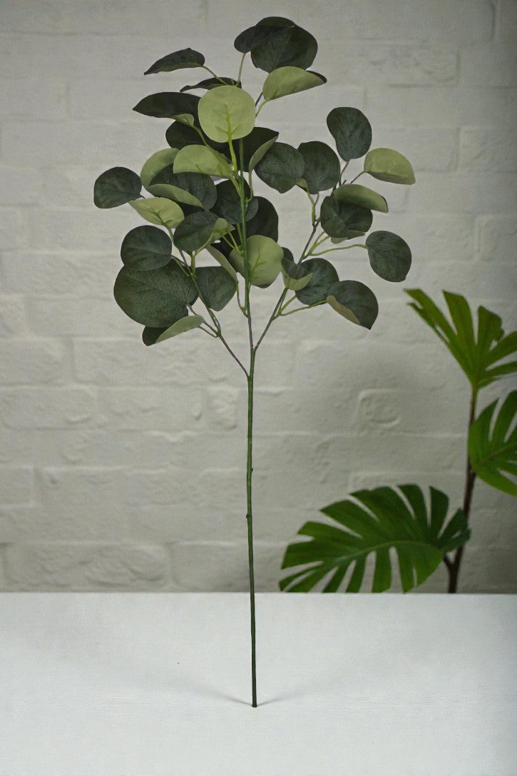 VARA EUCALIPTUS X3- 82CM