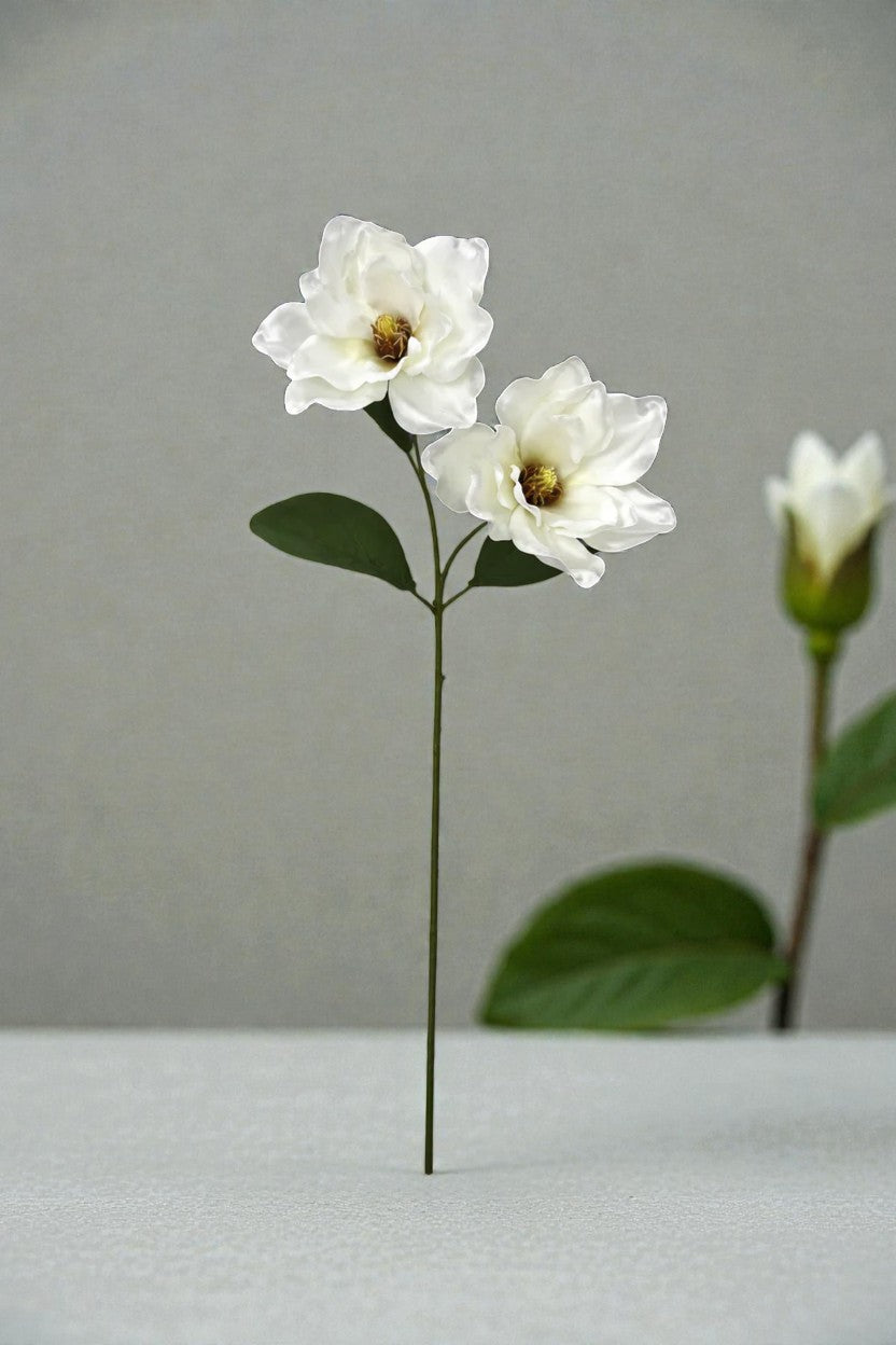 VARA X 2 MAGNOLIAS 66CM
