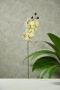 VARA ORQUIDEA 70CM