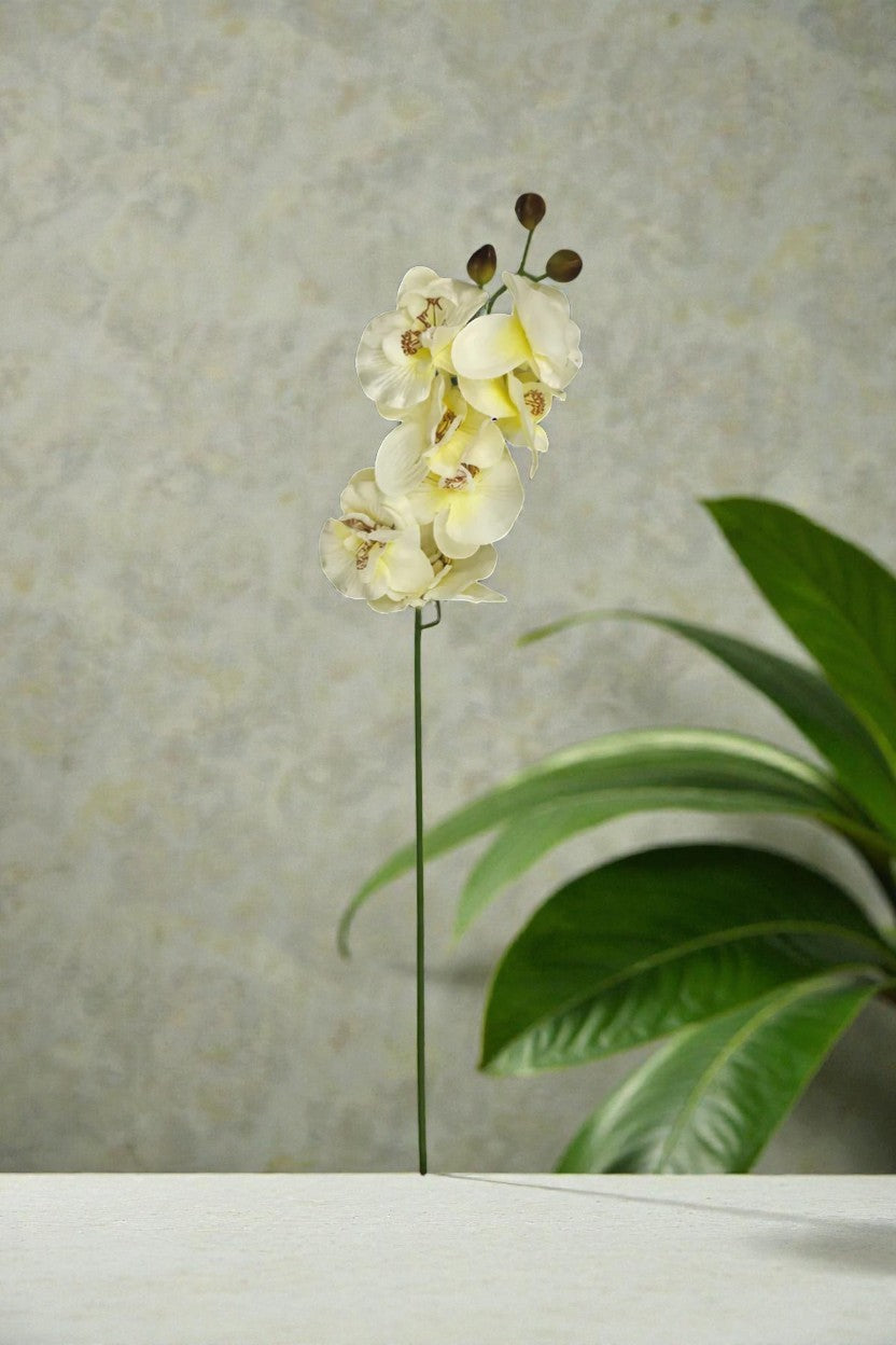 VARA ORQUIDEA 70CM