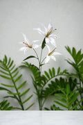 VARA X 3 TIGER LILY 60CM