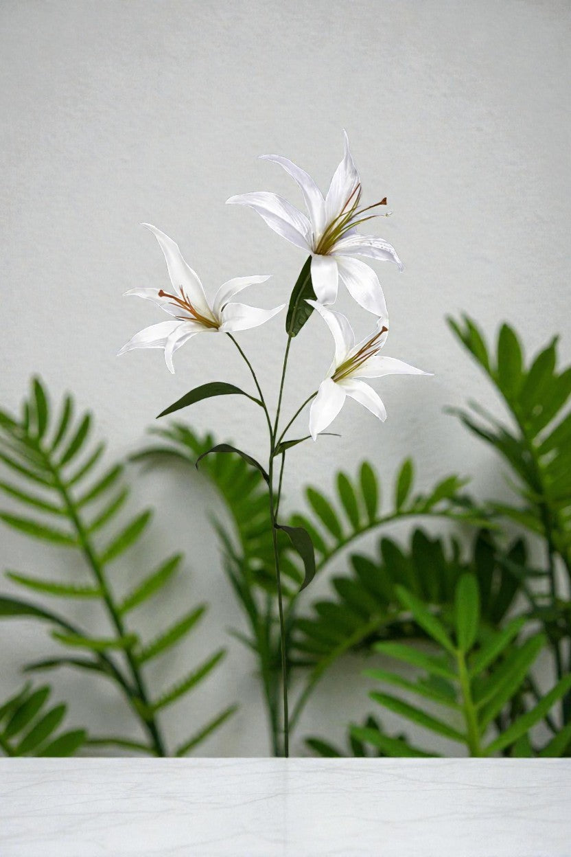 VARA X 3 TIGER LILY 60CM